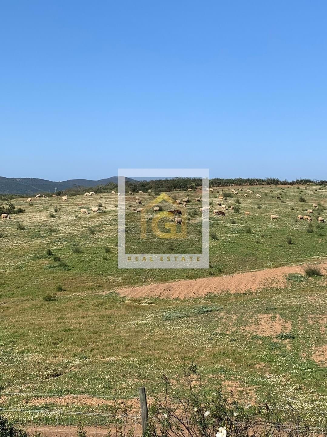 Land in Beja (Salvador e Santa Maria da Feira), Beja District, Portugal 3 - 14360692