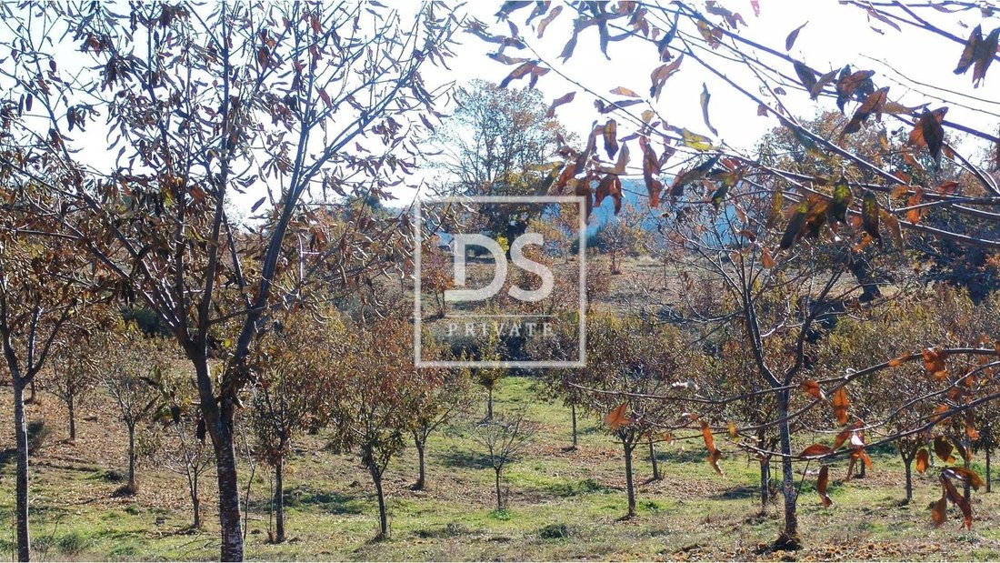 Farm Ranch in Jou, Vila Real District, Portugal 3 - 14361675