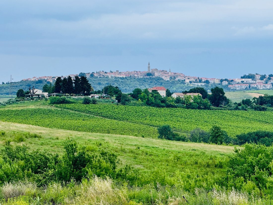 Villa in Brtonigla, Istria County, Croatia 4 - 14364879