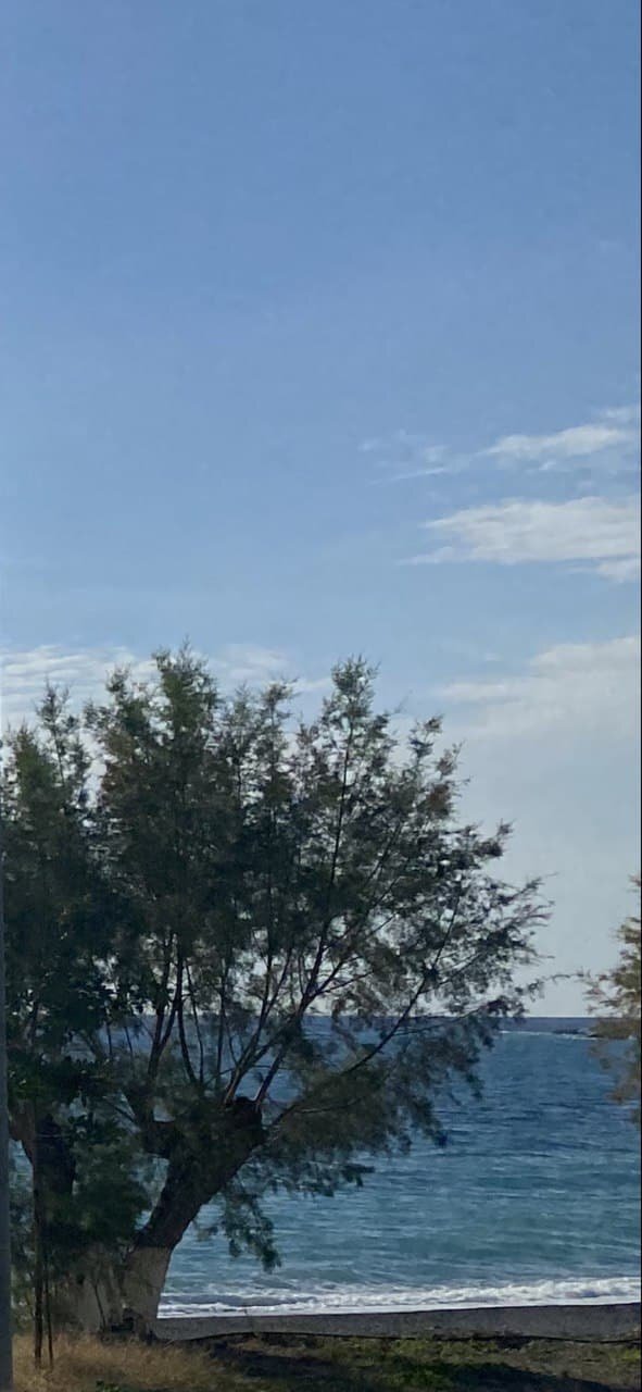Land in Community of Kalamion, Greece 4 - 14366413