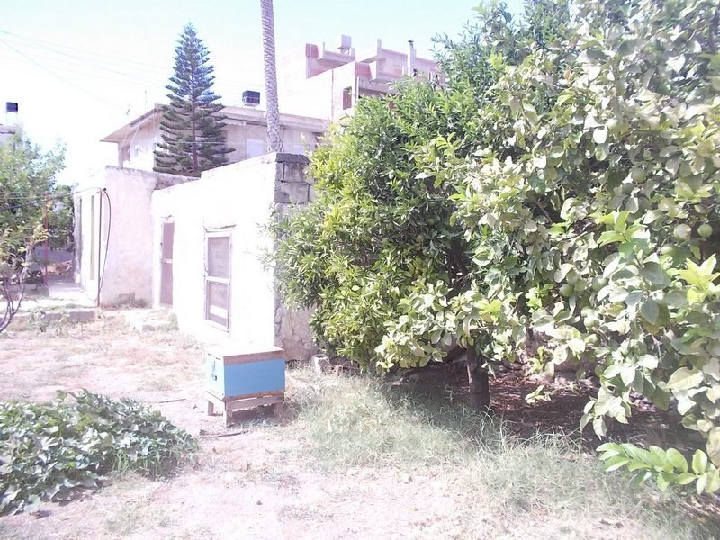 Terreno a Ierapetra, Eyalet di Creta, Grecia 5 - 14366068
