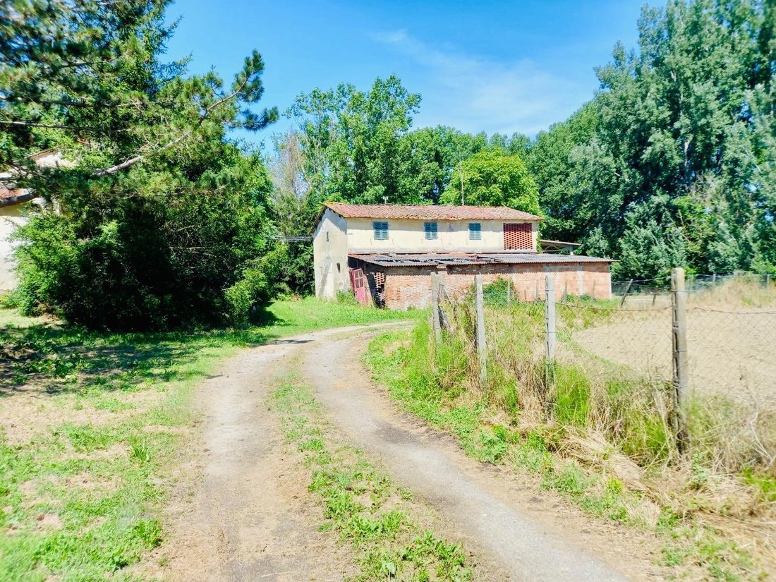 Castelnuovo d'Elsa, Castelfiorentino, Tuscany 3 - 14368443