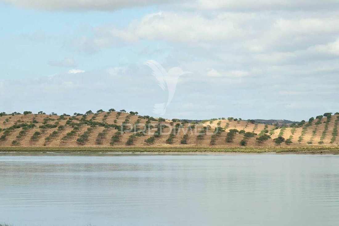 Land in Castro Marim, Algarve, Portugal 5 - 14351926
