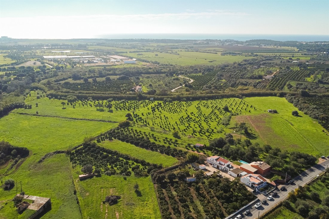 Farm Ranch in Vilamoura, Quarteira, Algarve 4 - 14370144