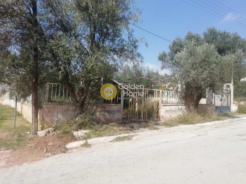 Land in Kropia, Attica, Greece 4 - 14371163