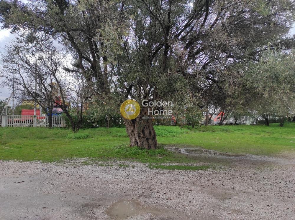 Land in Paiania, Attica, Greece 2 - 14371215