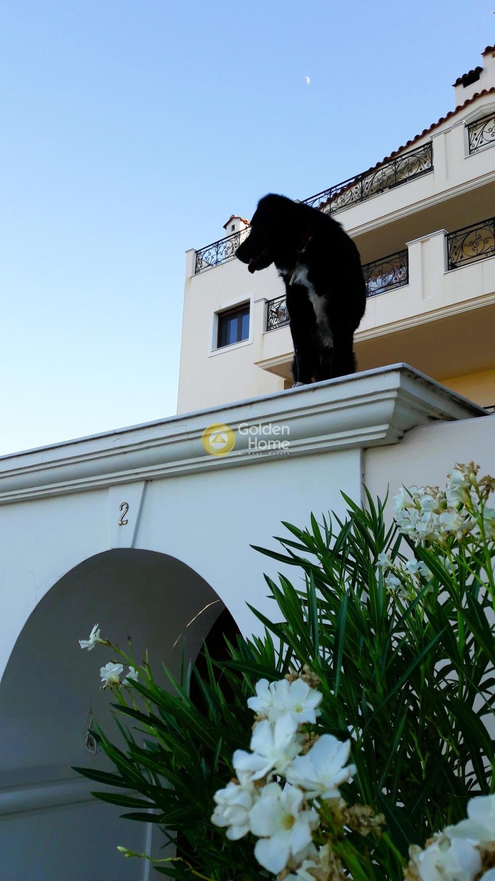 House in Rafina, Attica, Greece 4 - 14371293