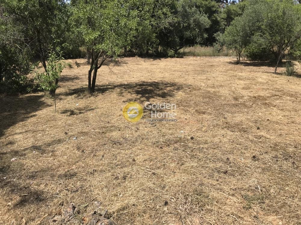 Land in Kifisia, Attica, Greece 5 - 14370908