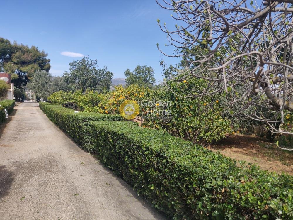 Estate in Kropia, Attica, Greece 2 - 14370614
