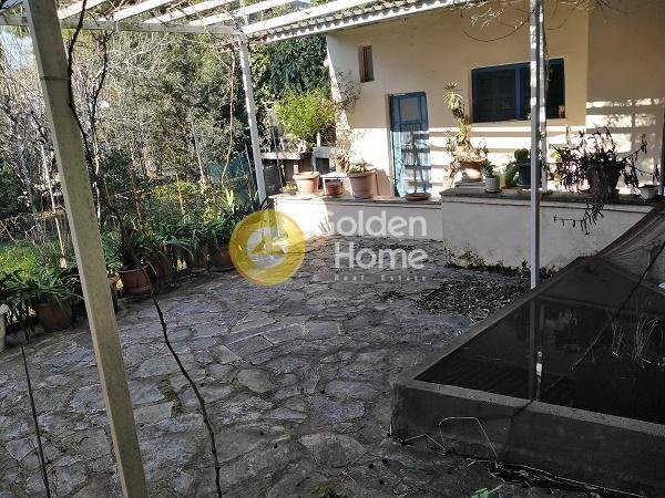House in Pefki, Attica, Greece 2 - 14371856