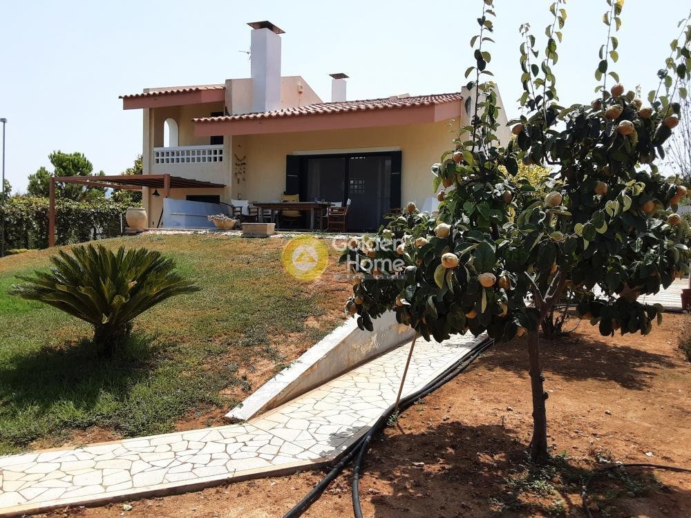 House in Zevgolateio, Vocha, Greece 1 - 14371018