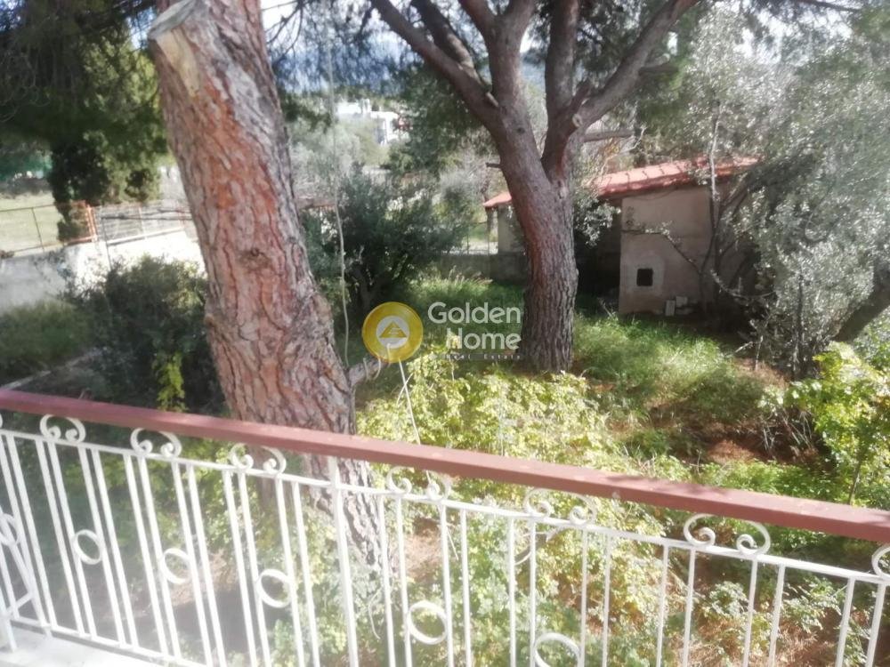 Land in Kropia, Attica, Greece 1 - 14371163