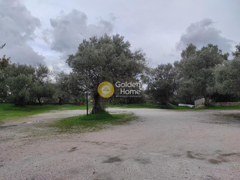 Land in Paiania, Attica, Greece 1 - 14371215
