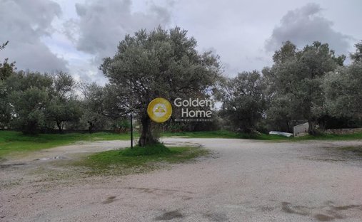 Land in Paiania, Attica, Greece 1