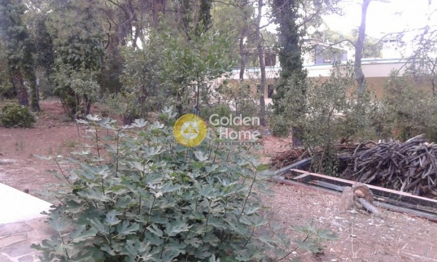 Land in Ekali, Attica, Greece 2 - 14370886
