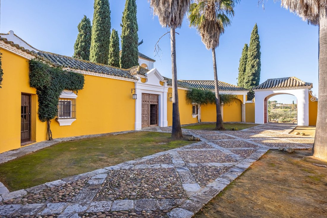 Mairena del Aljarafe, Andalusia, Spain 5 - 14371575