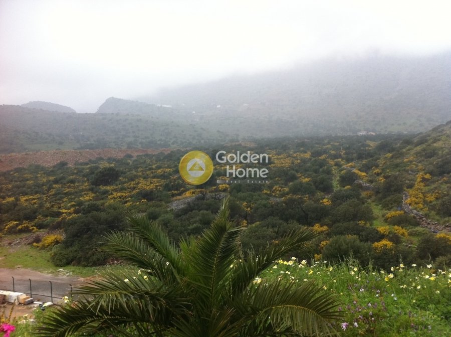 Land in Community of Elounta, Agios Nikolaos Municipal Unit, Greece 5 - 14371108