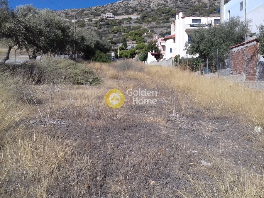 Land in Kropia, Attica, Greece 2 - 14370673