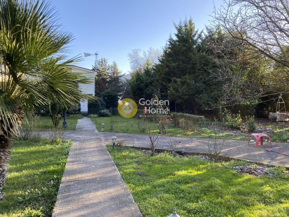 Land in Dionysos, Attica, Greece 3 - 14370710