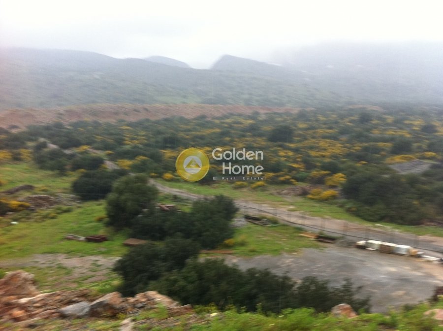 Land in Community of Elounta, Agios Nikolaos Municipal Unit, Greece 2 - 14371108