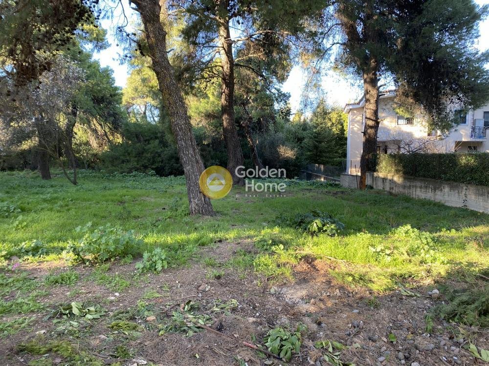 Land in Dionysos, Attica, Greece 1 - 14370709