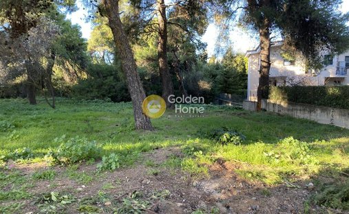 Land in Dionysos, Attica, Greece 1