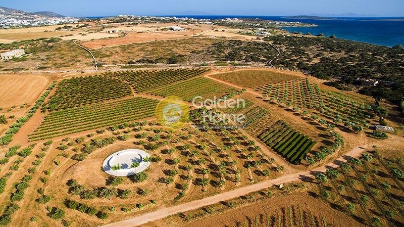 Land in Paros, Aegean, Greece 4 - 14370977