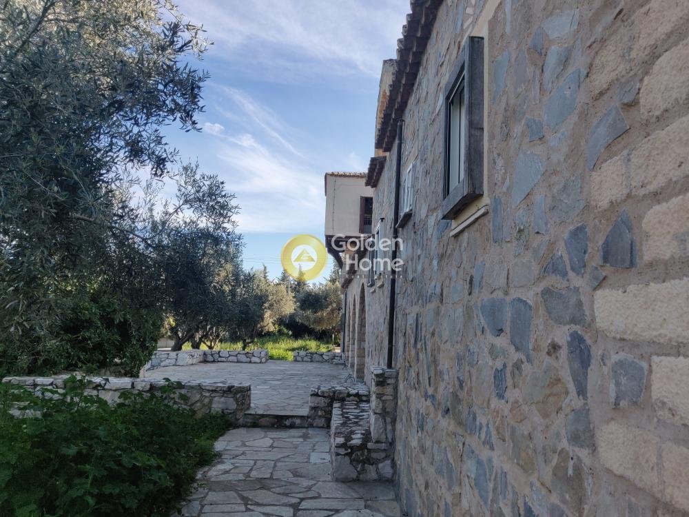 House in Paiania, Attica, Greece 5 - 14370552