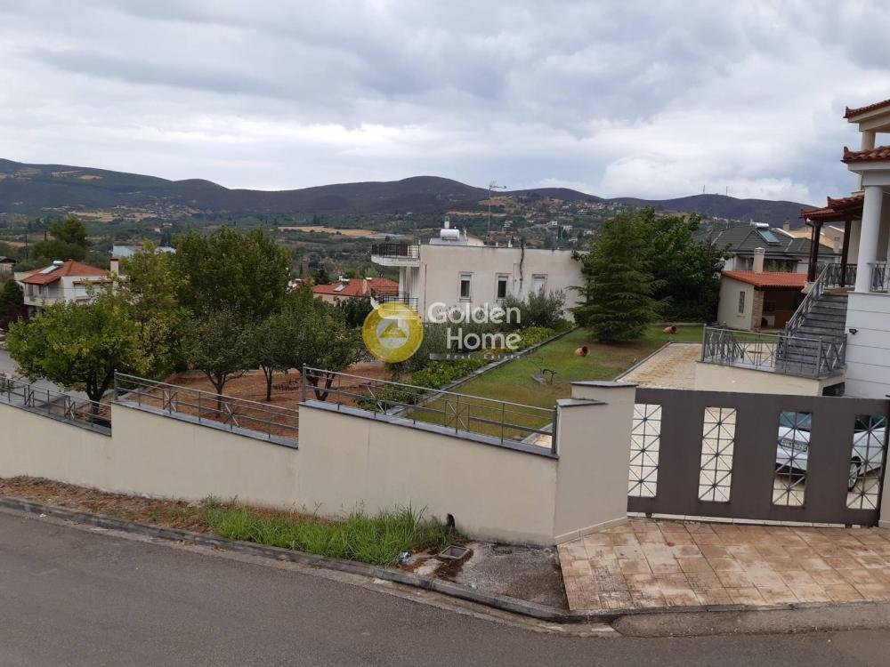 House in Levadeia Community, Levadia, Greece 4 - 14371063