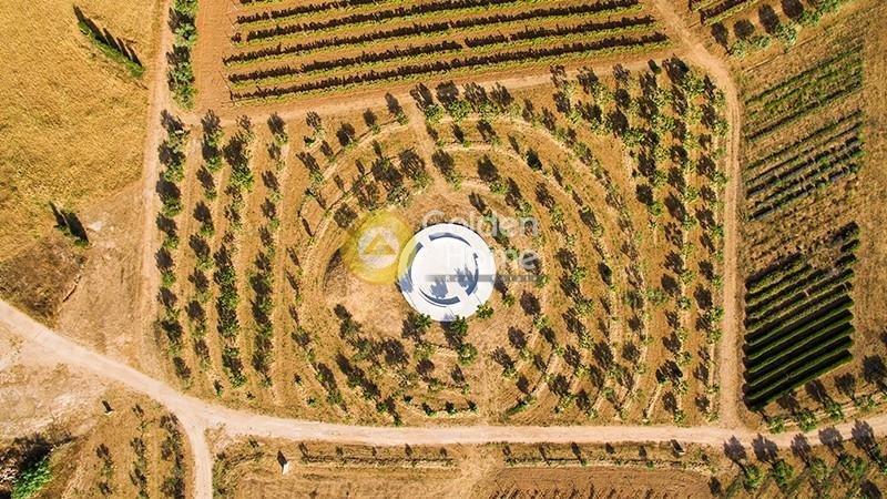 Land in Paros, Aegean, Greece 3 - 14370977