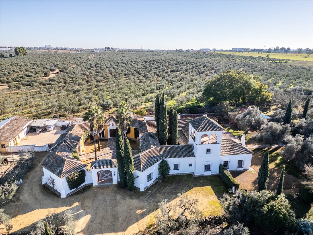 Mairena del Aljarafe, Andalusia, Spain 2 - 14371575