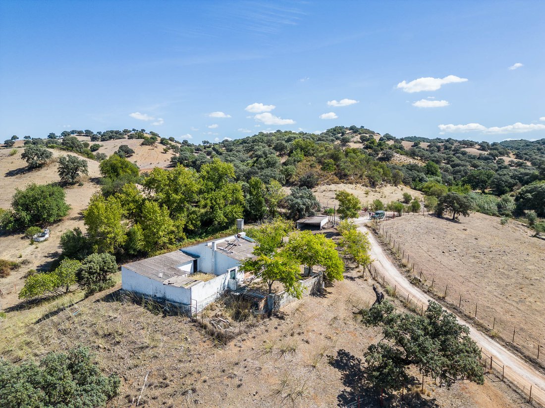 Farm Ranch in Coripe, Andalusia, Spain 1 - 14371833