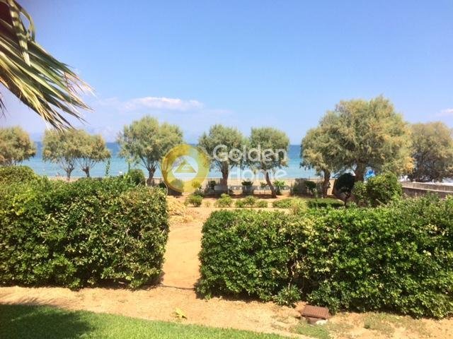 House in Lakkopetras, Larissos, Peloponnese, Western Greece and the Ionian 2 - 14371761