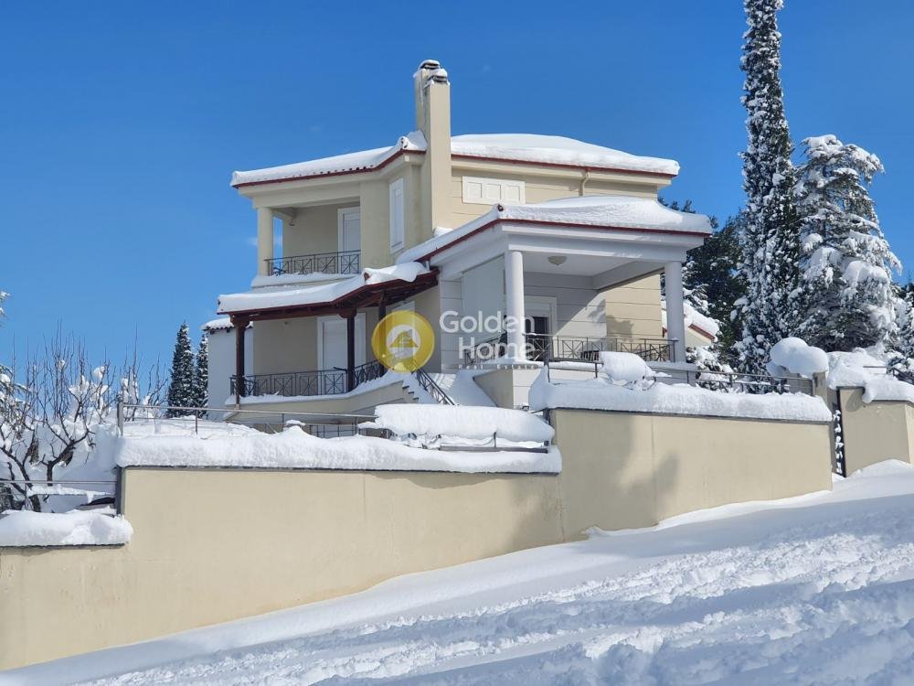 House in Levadeia Community, Levadia, Greece 1 - 14371063