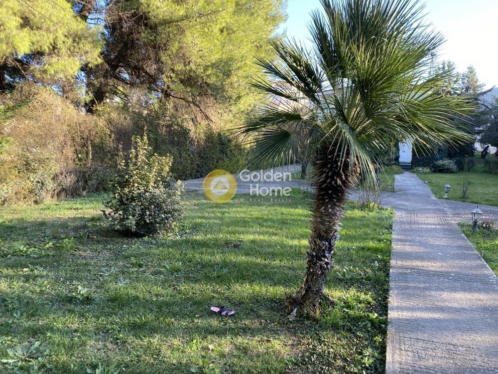 Land in Dionysos, Attica, Greece 5 - 14370710