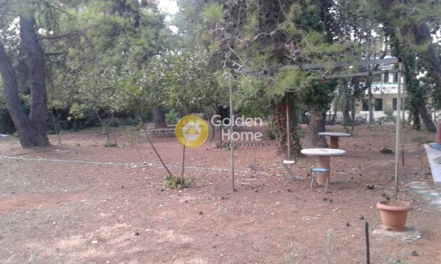 Land in Ekali, Attica, Greece 5 - 14370886