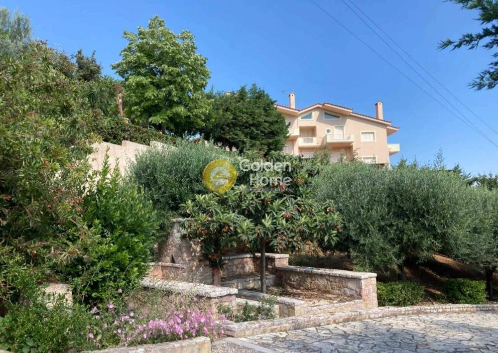 House in Oropos, Attica, Greece 3 - 14370699