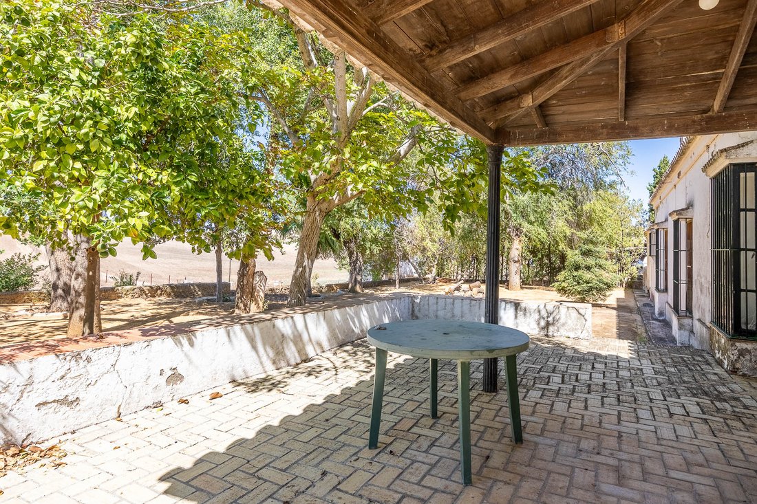 Farm Ranch in Coripe, Andalusia, Spain 5 - 14371833