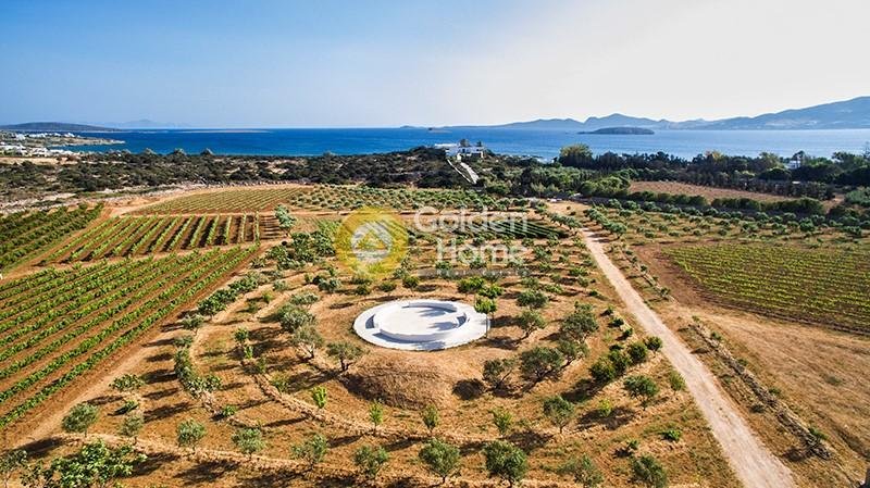 Land in Paros, Aegean, Greece 5 - 14370977
