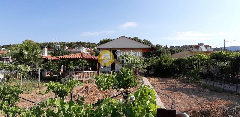 Tenuta a Markopoulo Mesogaias, Attica, Grecia 4 - 14370663