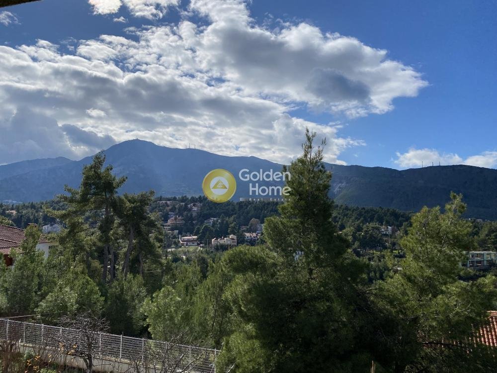 Land in Dionysos, Attica, Greece 1 - 14370757