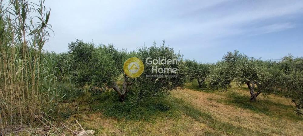 Land in Platanias, Greece 3 - 14371333