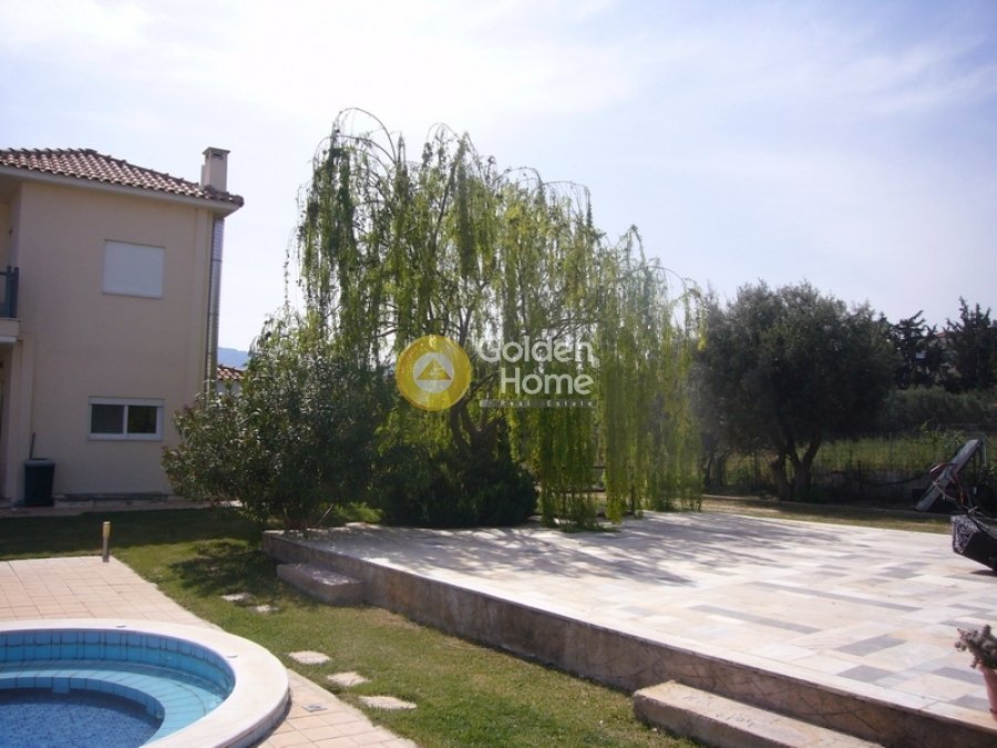 House in Pallini, Attica, Greece 5 - 14370981