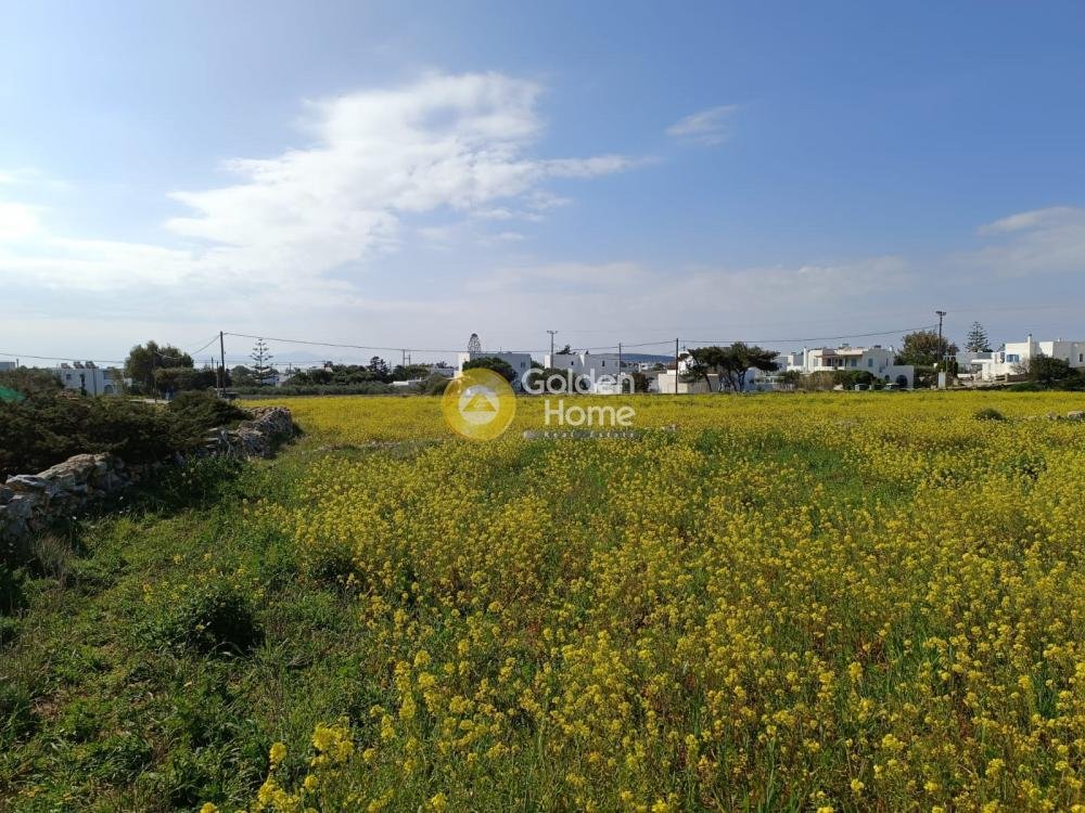 Land in Paros, Aegean, Greece 1 - 14371831