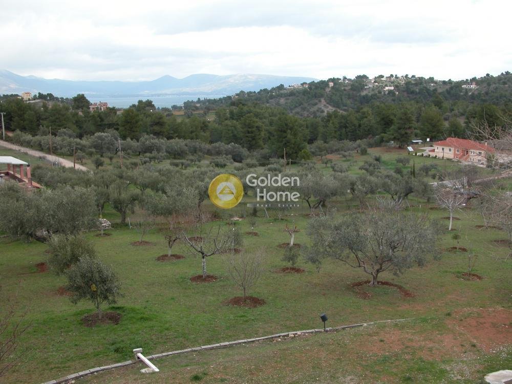 House in Oropos, Attica, Greece 2 - 14370962