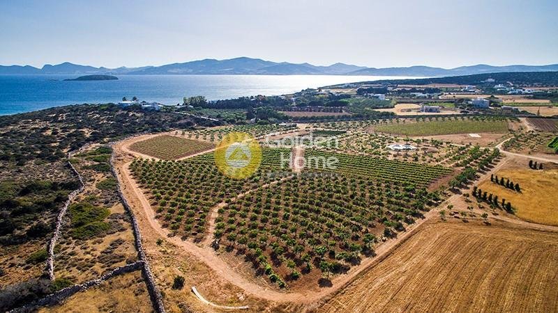 Land in Paros, Aegean, Greece 1 - 14370977
