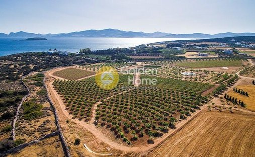 Land in Paros, Aegean, Greece 1