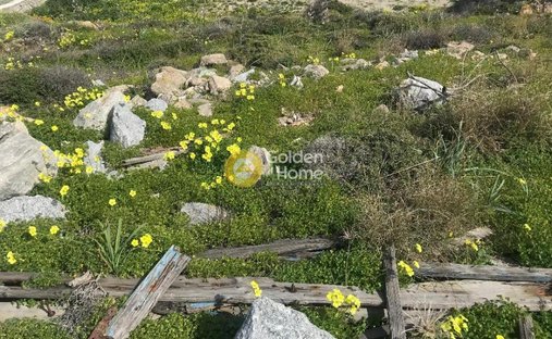 Land in Mykonos, Aegean, Greece 1