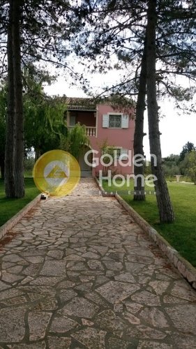 House in Lefkimmi, Peloponnese, Western Greece and the Ionian, Greece 1 - 14370889