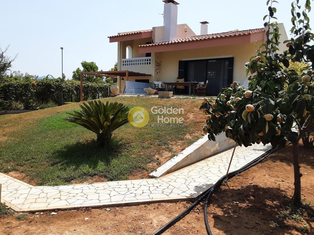 House in Zevgolateio, Vocha, Greece 2 - 14371018